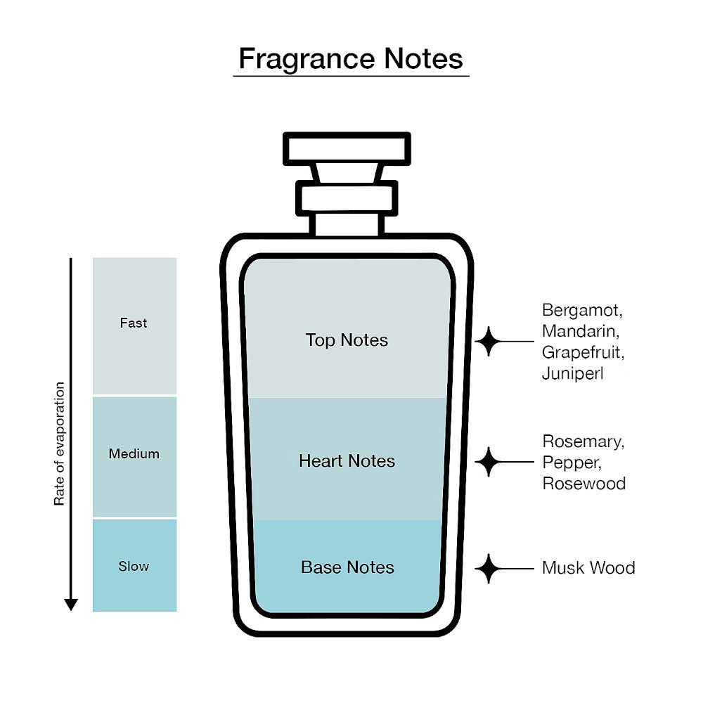 Dolce & Gabbana Light Blue Pour Homme Eau De Toilette Made in Italy